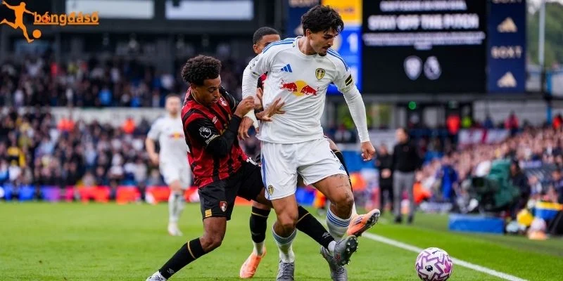 Bournemouth hướng đến mục tiêu giữ trọn 3 điểm trên sân Vitality