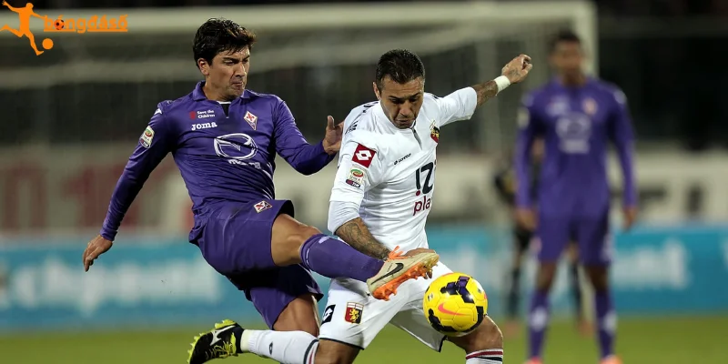 Phân tích trước trận Genoa và Fiorentina